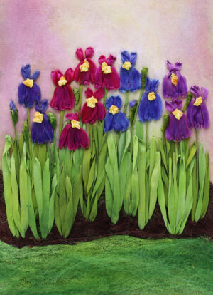 Radiance Among Irises