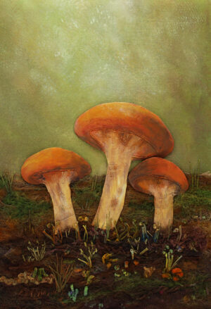 The Woodland Gathering
